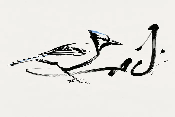 Blue Jay, AI-assisted art made from the photograph above, study 6.
