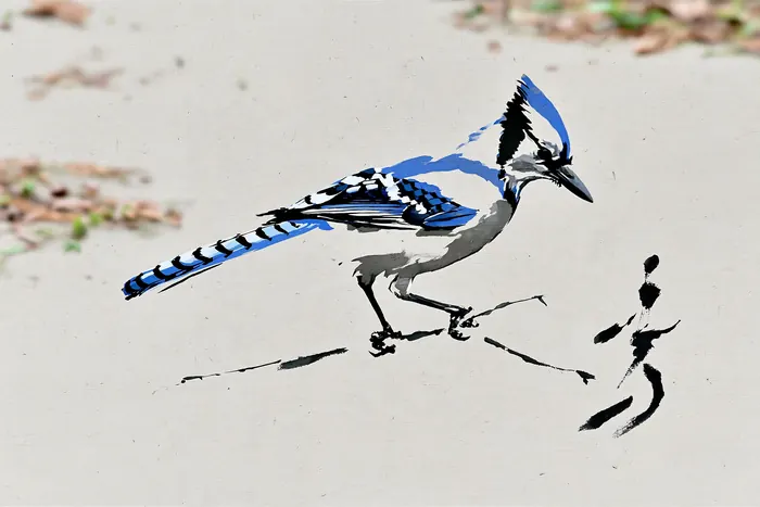 Blue Jay, AI-assisted art made from the photograph above, study 7.