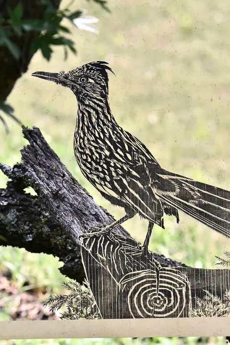 Roadrunner, AI-assisted art made from the photograph above, study 4.