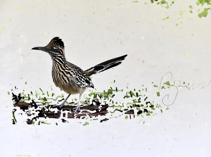 Roadrunner, AI-assisted art made from the photograph above, study 8.