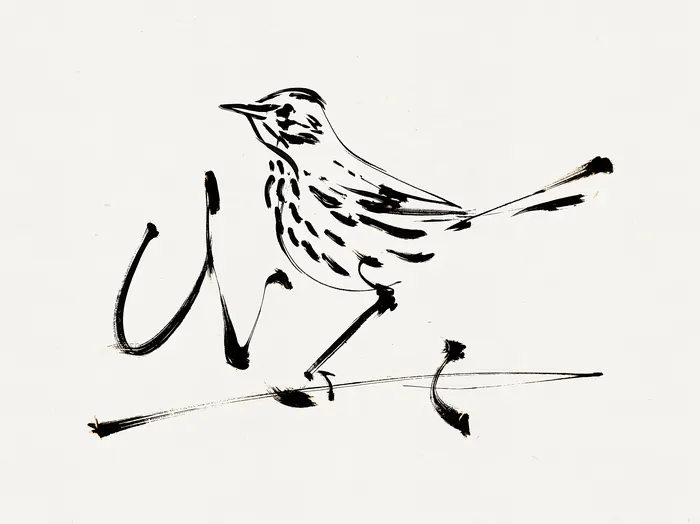 Brown Thrasher, AI-assisted art made from the photograph above, study 12.